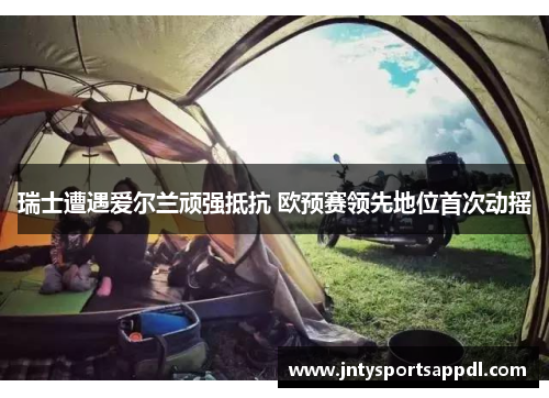 瑞士遭遇爱尔兰顽强抵抗 欧预赛领先地位首次动摇
