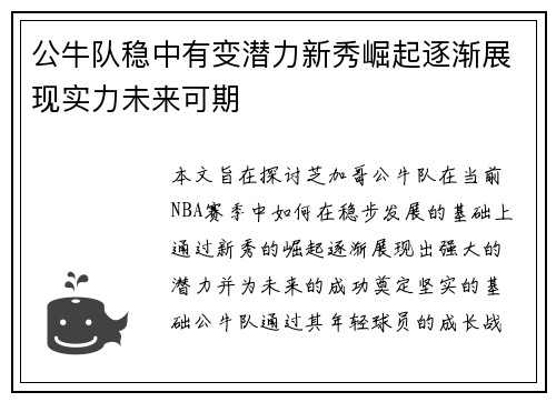 公牛队稳中有变潜力新秀崛起逐渐展现实力未来可期