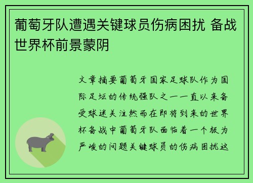葡萄牙队遭遇关键球员伤病困扰 备战世界杯前景蒙阴